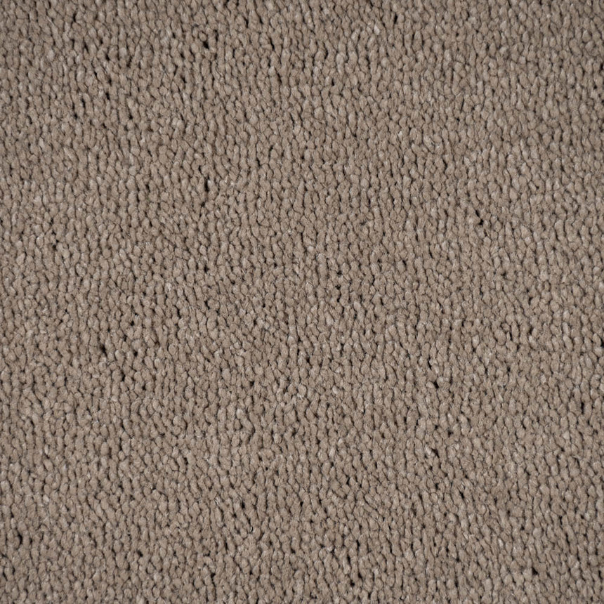 Earth Brown Hartwell Saxony Carpet