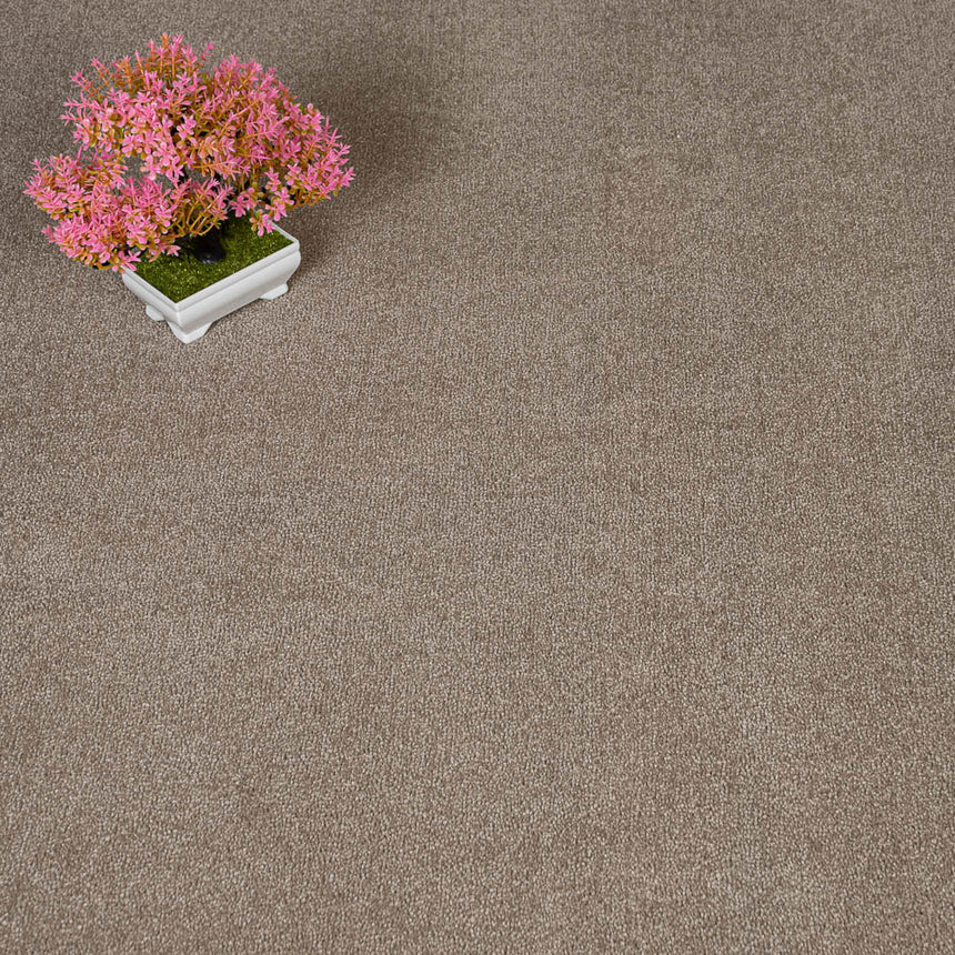 Earth Brown Hartwell Saxony Carpet