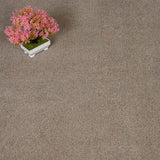 Earth Brown Hartwell Saxony Carpet