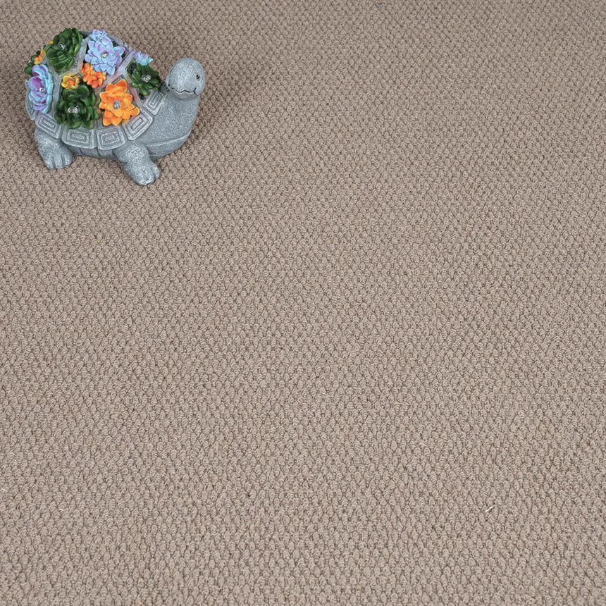 Earth Brown Florida Loop Carpet