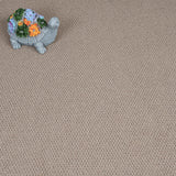 Earth Brown Florida Loop Carpet