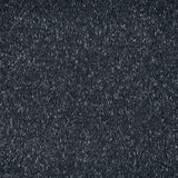 Ebony Stainfree Caress Carpet by Abingdon