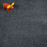 Ebony Stainfree Caress Carpet by Abingdon