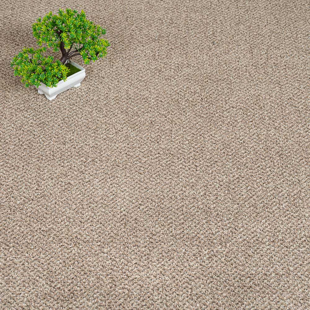 Eddleston 35 Stainaway Tweed Carpet