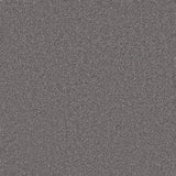 Primo Naturals Carpet by Cormar