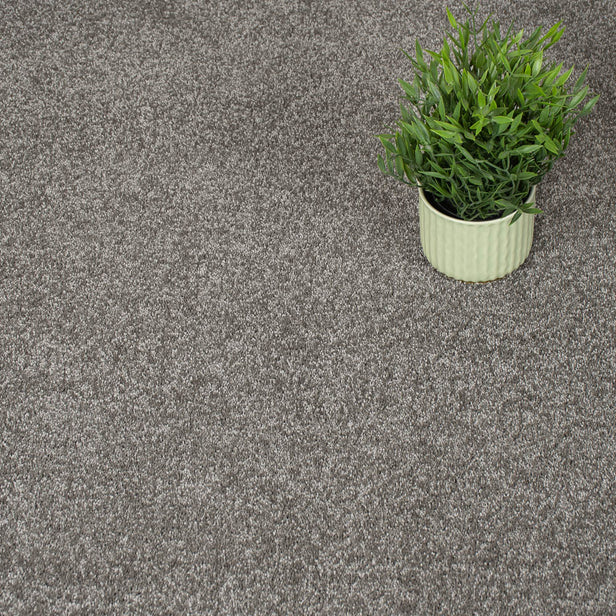 Elder Bark 93 Orion 50oz Invictus Carpet