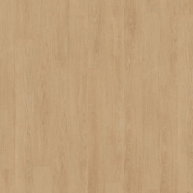 Elegance Oak Creme D81162 Mammut 12mm Laminate Flooring by Kronotex