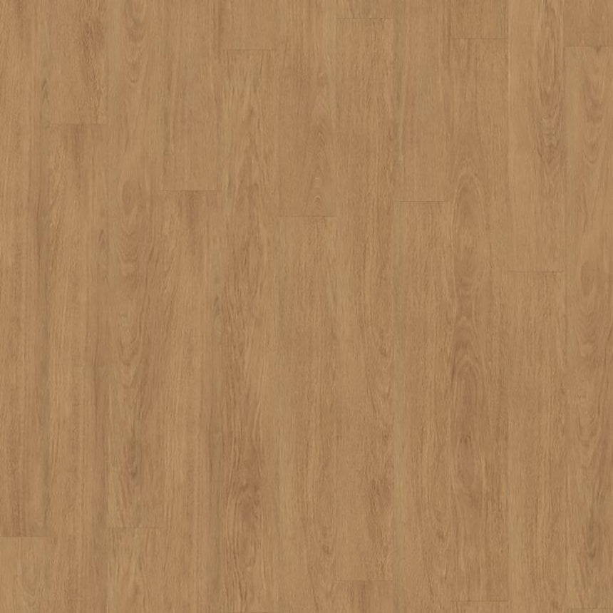 Elegance Oak Nature D81132 Mammut 12mm Laminate Flooring by Kronotex