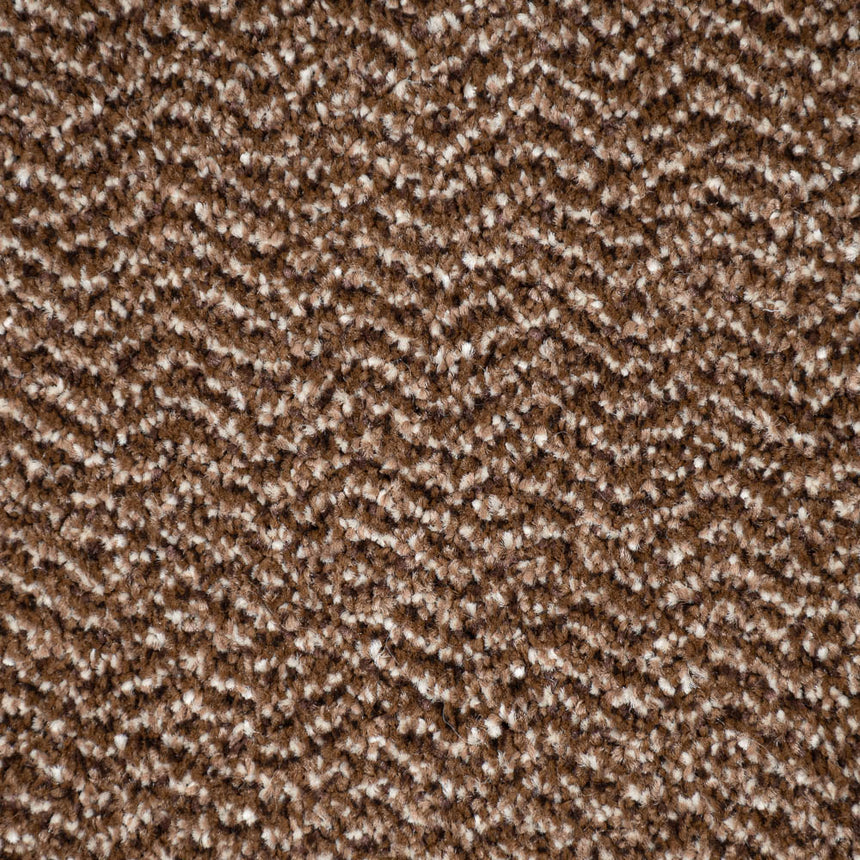 Espresso 16 Stainfree Tweed Carpet by Abingdon