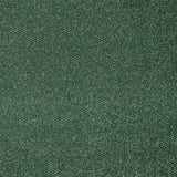 Evergreen 19 Stainfree Tweed Carpet by Abingdon