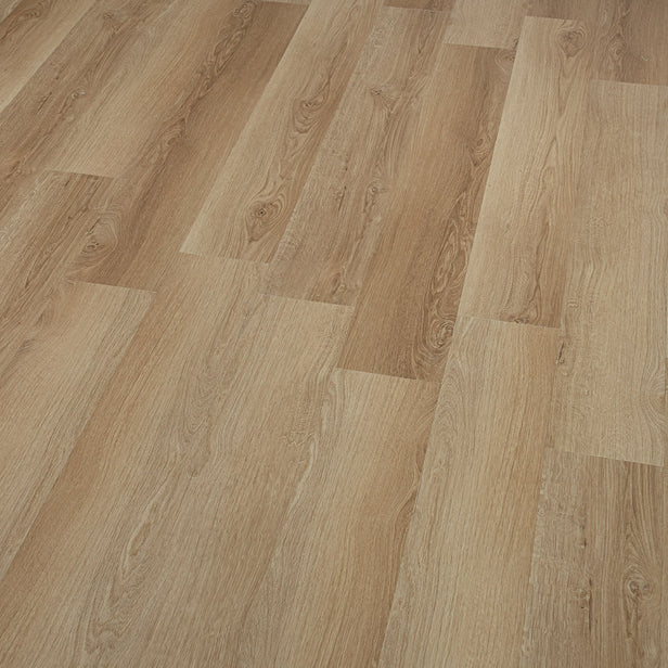 Farmhouse Oak Axia 2mm Gluedown LVT Flooring