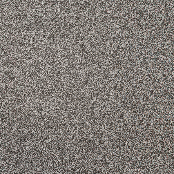 Coast Twist Carpet Clearance