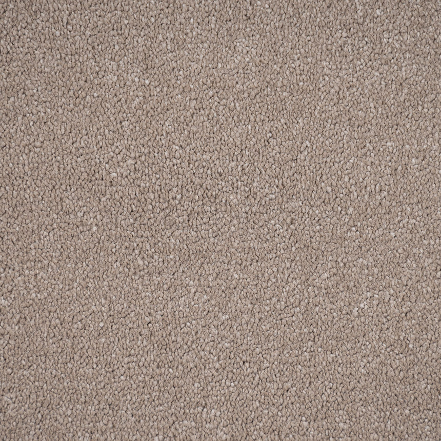 Fawn Regal Saxony Carpet