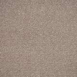 Fawn Regal Saxony Carpet