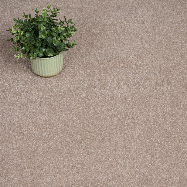 Fawn Regal Saxony Carpet