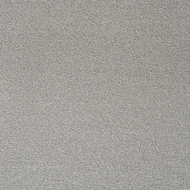 Feather Stainfree Rustique Ultra Carpet by Abingdon