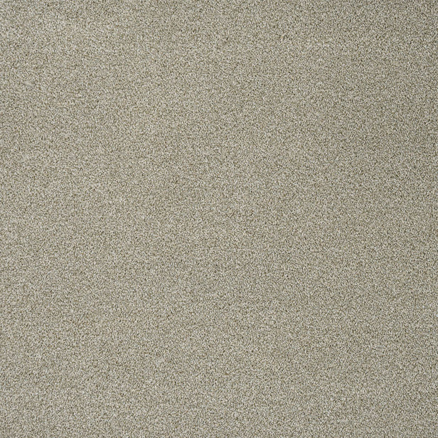 Fern 20 Darius 50oz Invictus Carpet 4.3m x 5m Remnant