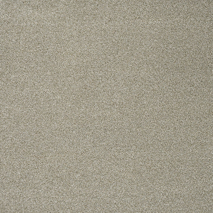 Fern 20 Darius 50oz Invictus Carpet