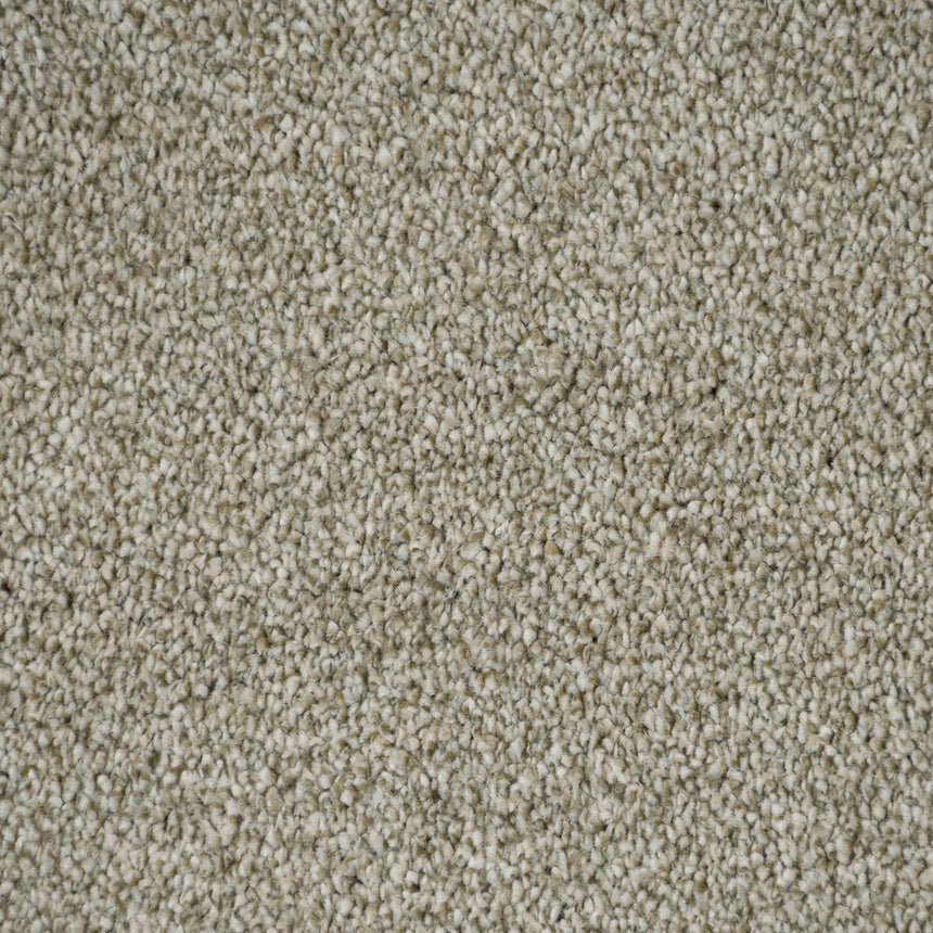 Fern 20 Darius 50oz Invictus Carpet