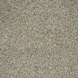 Fern 20 Darius 50oz Invictus Carpet