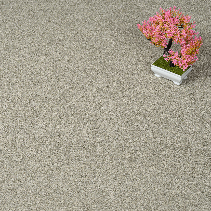 Fern 20 Darius 50oz Invictus Carpet