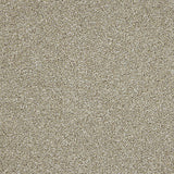 Stainfree Knightsbridge Berber Carpet by Abingdon