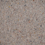 Flax Wilton Royal Charter Berber Deluxe Carpet by Abingdon