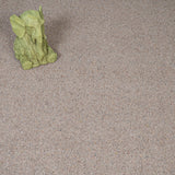 Flax Wilton Royal Charter Berber Deluxe Carpet by Abingdon