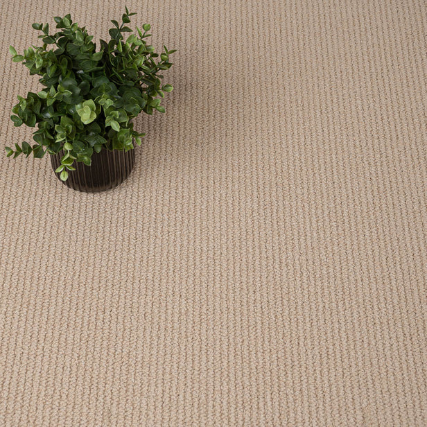 Flaxseed Primo Textures Carpet by Cormar