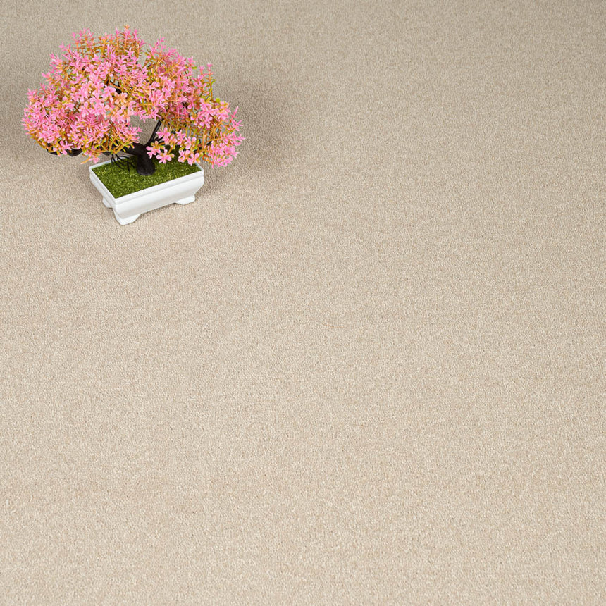 Fossil Hampstead Deluxe 50oz Carpet by Cormar