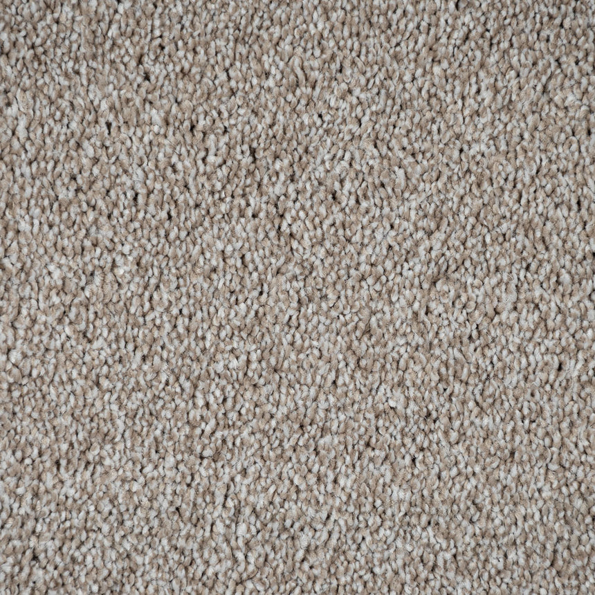 French Vanilla Harewood Saxony Carpet