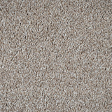 French Vanilla Harewood Saxony Carpet
