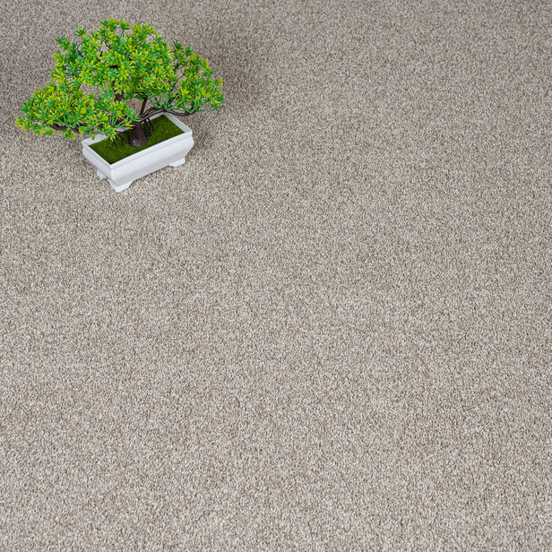 French Vanilla Harewood Saxony Carpet