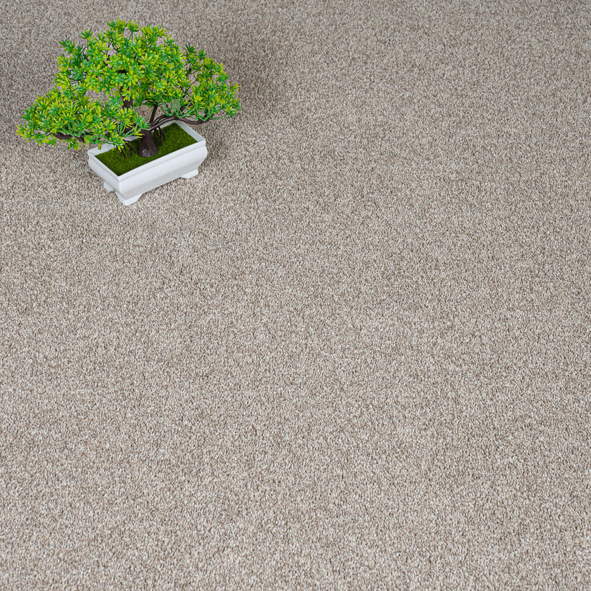 French Vanilla Harewood Saxony Carpet