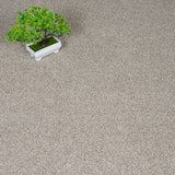 French Vanilla Harewood Saxony Carpet
