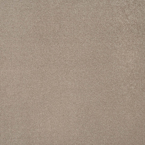 Fudge 39 Aries Invictus Carpet