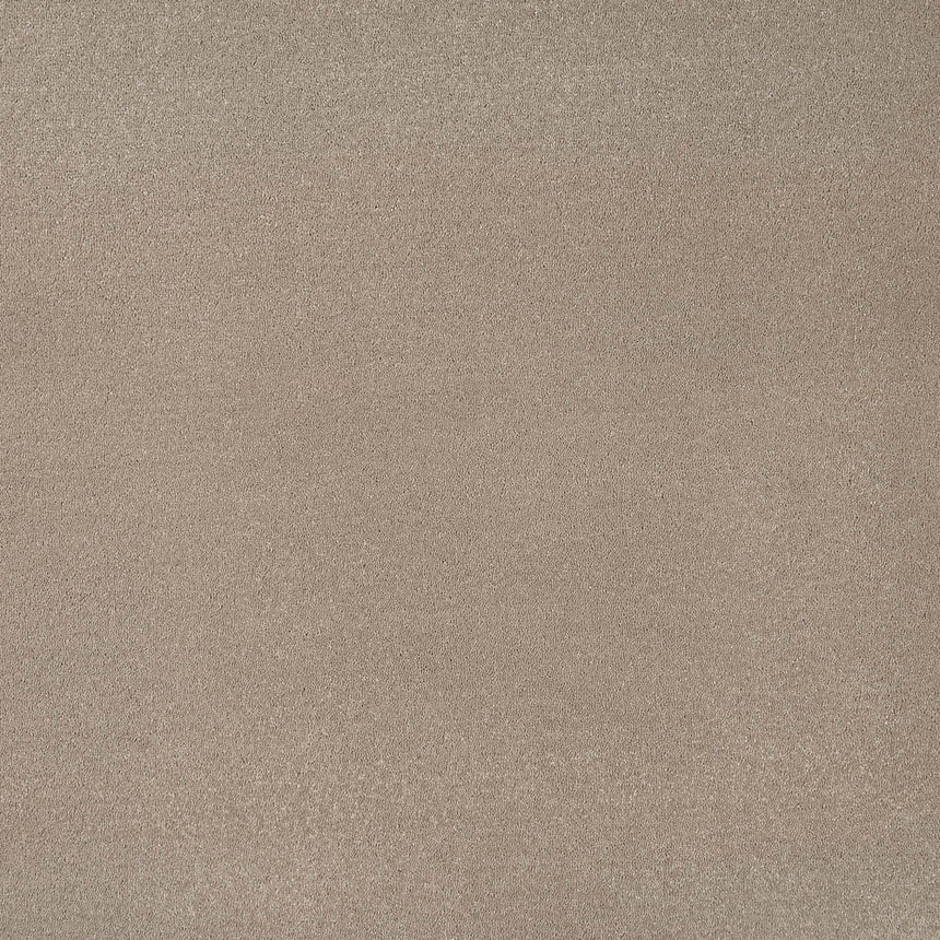 Fudge 39 Taurus Invictus Carpet