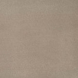 Fudge 39 Taurus Invictus Carpet