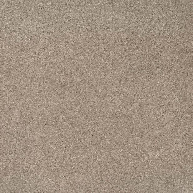 Fudge 39 Taurus Invictus Carpet
