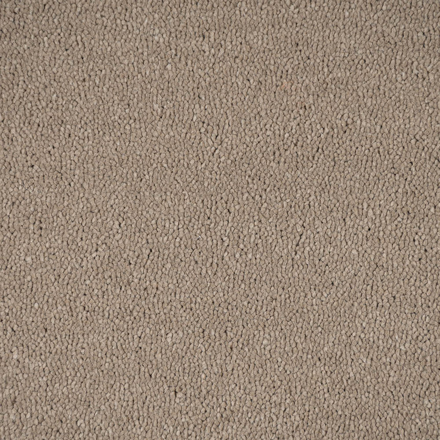 Fudge 39 Taurus Invictus Carpet