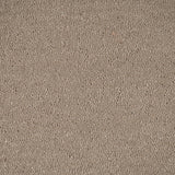 Fudge 39 Taurus Invictus Carpet