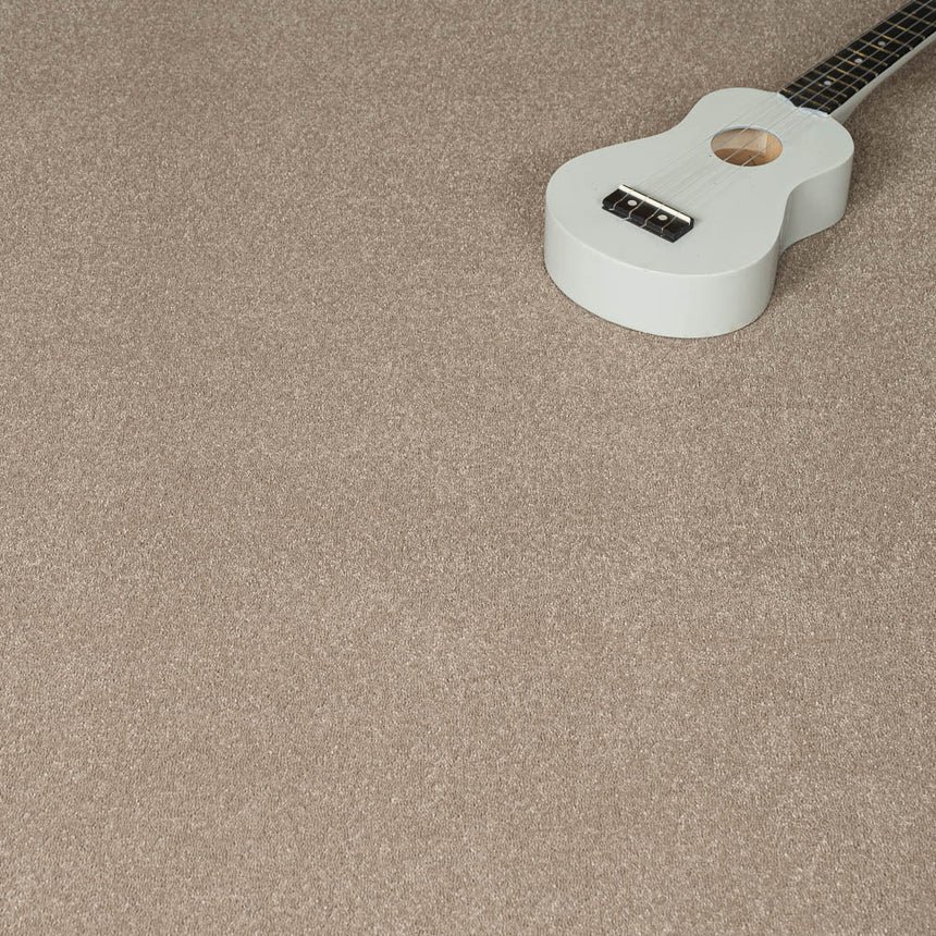 Fudge 39 Taurus Invictus Carpet