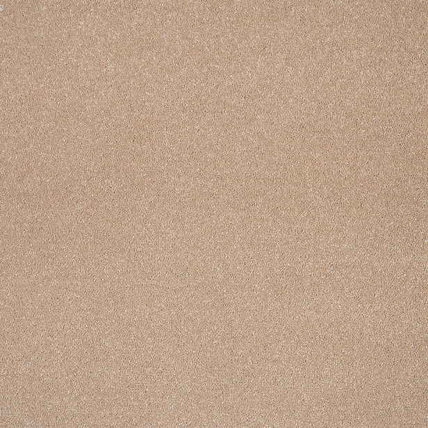Gazelle Sensation Original 60oz Carpet by Cormar