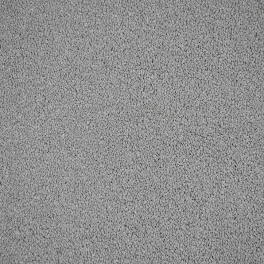 Gentle Pewter Regal Saxony Carpet