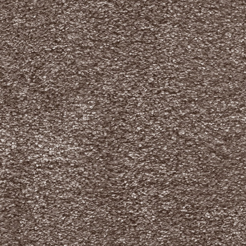 Gentleman 47 Spiritus Carpet Clearance