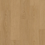 Gingerbread Oak AVSPU40278