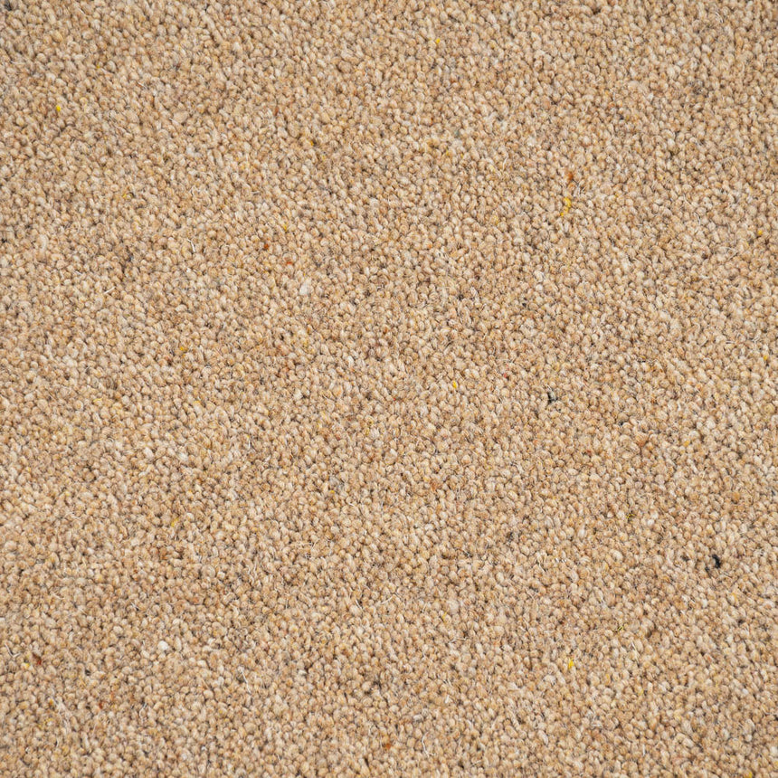 Goldcrest Woodland Heather 55oz Twist Deluxe Carpet by Cormar