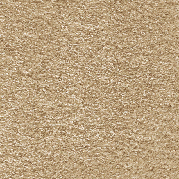 Golden Honey 35 Aurelius Invictus Carpet