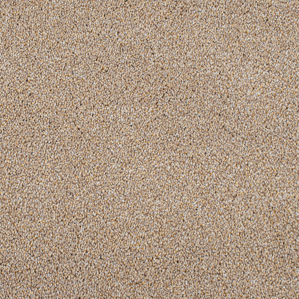 Golden Honey 35 Cassius 70oz Invictus Carpet