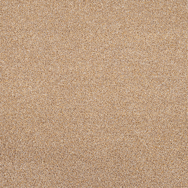 Golden Honey 35 Darius 50oz Invictus Carpet